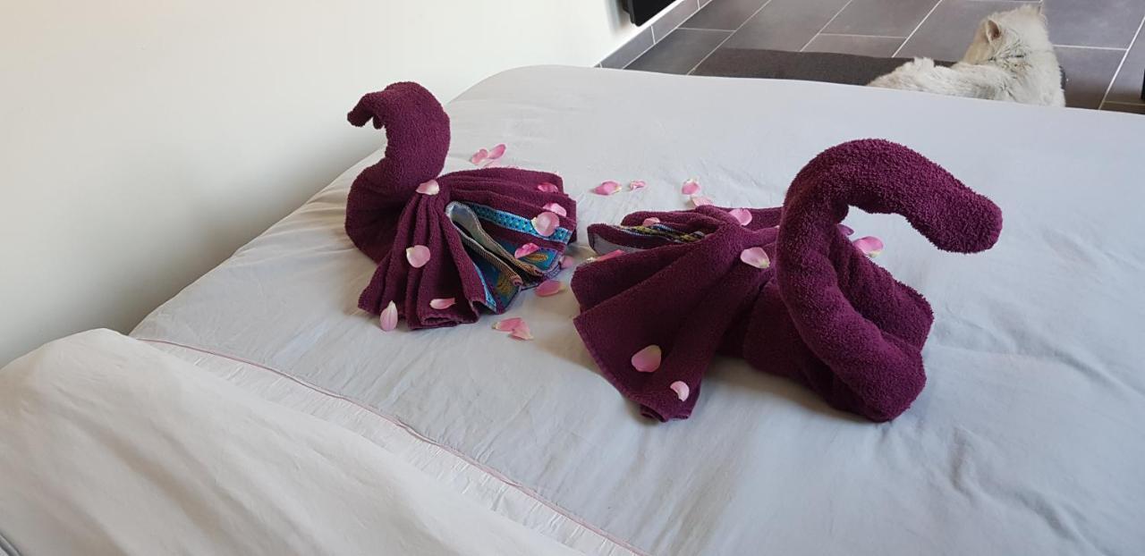 Baie De Somme - Le Pourquoi Pas Bed & Breakfast เลอโครทัว ภายนอก รูปภาพ